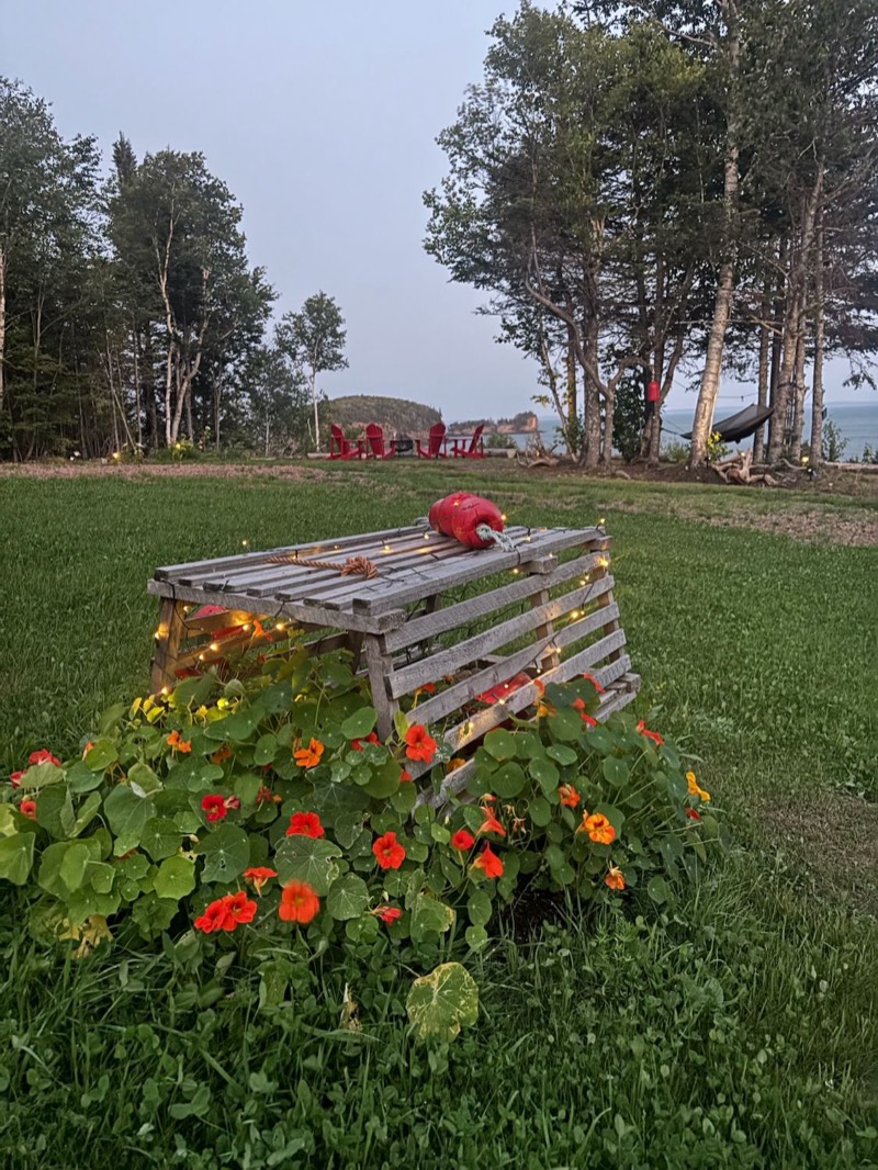 A weathered lobster trap wrapped in fairy lights and nasturtiums on the cottage lawn, with the Two Islands behind